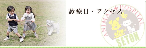 診療日・アクセス