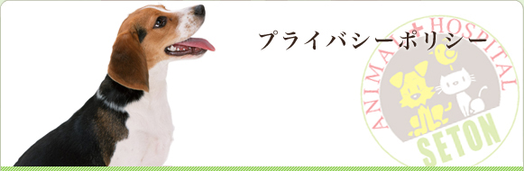 プライバシーポリシー