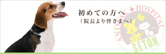 初めての方へ