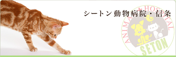 シートン動物病院・信条