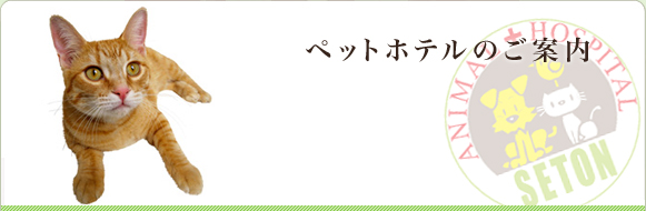 ペットホテルのご案内