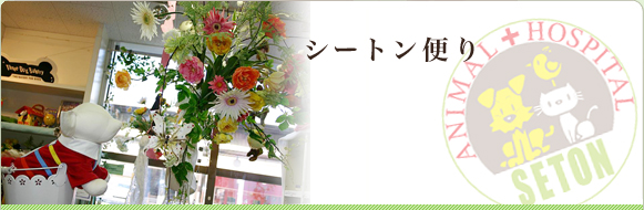 シートン便り